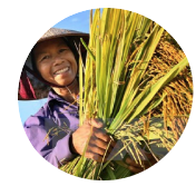 Trước đây tôi đã sử dụng rất nhiều loại thuốc bảo vệ thực vật
          nhưng đất bị ảnh hưởng vô cùng