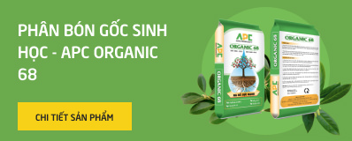 phan-bon-g-c-sinh-h-c-apc-organic-68