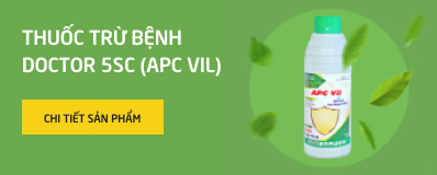 thu-c-tr-b-nh-doctor-5sc-apc-vil